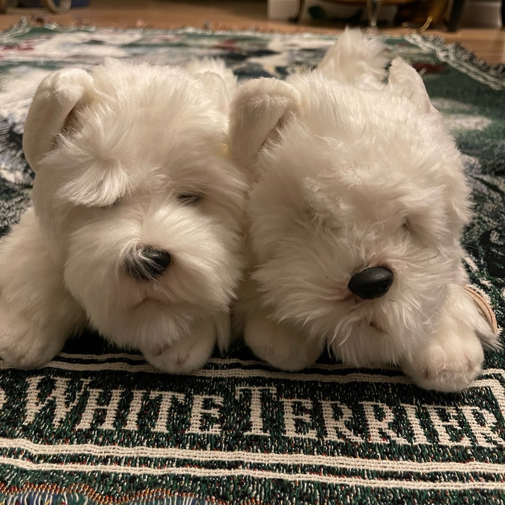Westie Stuffed (pellet stuffed) Animals. Sold as pair. Russ. Approx 12”Lx4.5”W
